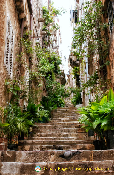 Dubrovnik Stari Grad