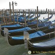 Venice's Iconic Gondolas Venice Gondolas