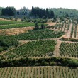 Wine Tasting in Tuscany Wine Tours in Tuscany