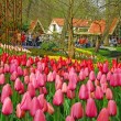 Keukenhof-Park-PR-Keukenhof Keukenhof Park - Courtesy PR-Keukenhof
