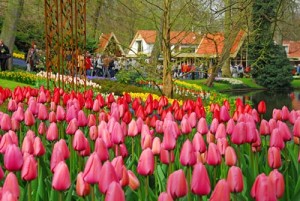 Keukenhof-Park-PR-Keukenhof