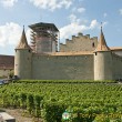 Château d’Aigle Château d’Aigle