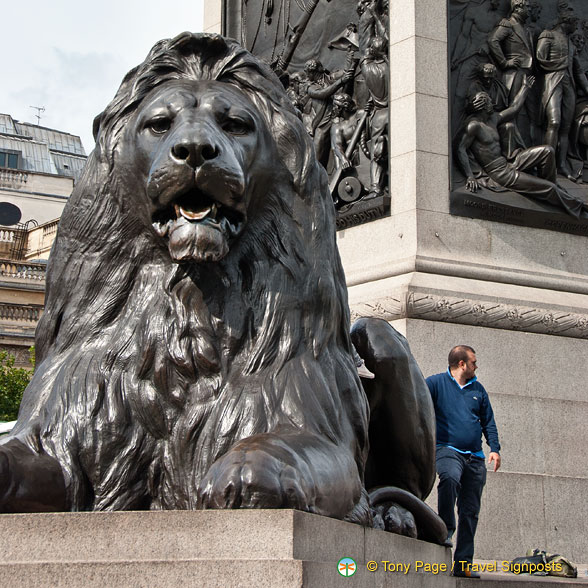 The famous Lion of Trafalgar Square
