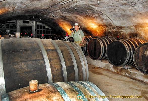 Tony inspects the barrels of wine at Dr. Pauly Bergweiler