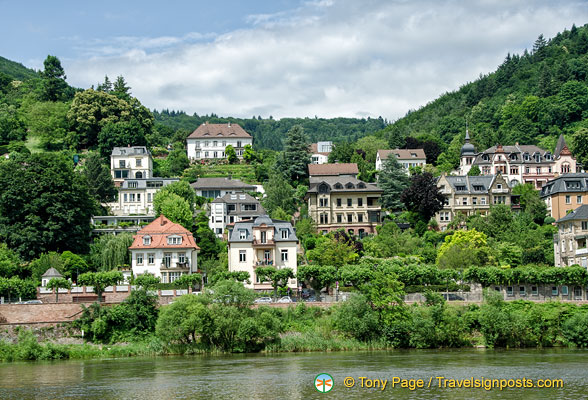 View of Heidelberg from the Neckar River