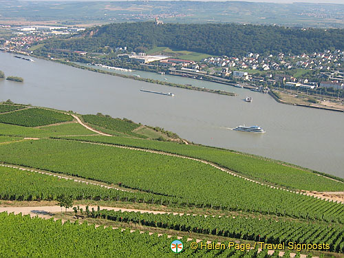 View of the Rhine vineyards from the Statue of Germania viewpoint