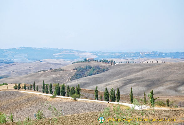 Hilly countryside of Val d'Orcia