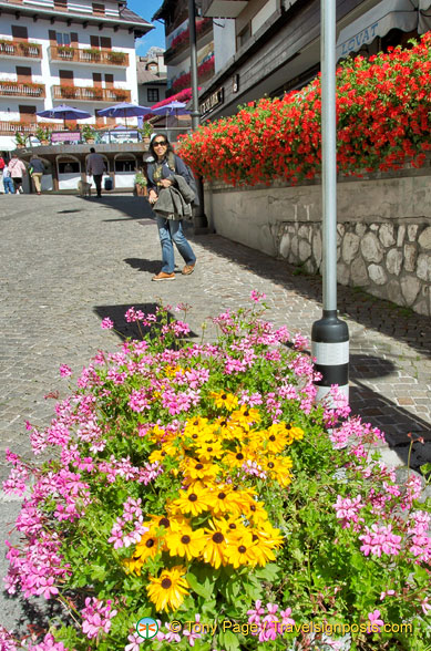 Me enjoying the beautiful flowers in Cortina d'Ampezzo
