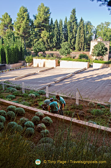 Work being done in this section of the Generalife