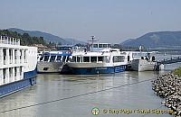 'MS Poetry' moored in the Wachau Valley