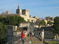 View from Avignon bridge