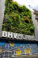 BHV Homme, a Marais department store dedicated to men's fashion. I like the vertical garden.