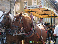 Bamberger Kutschfahrten - Horse and carriage rides in Bamberg