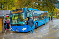 Neuschwanstein bus