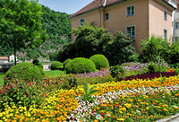 Pretty Passau gardens
