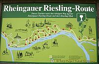 For those interested in doing the Riesling Route