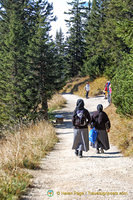 Walking nuns