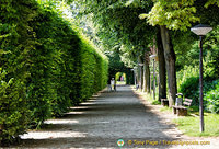 Paths of the Palastgarten