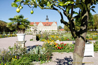Schlossgarten orchard