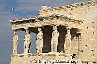 The Erectheion with Caryatids, Acropolis
[Athens - Greece]