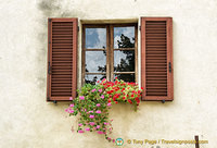 Window with pretty flowers