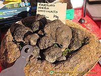Tartufo Nero Uncinato or Black Truffles