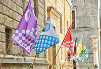 Flags at the Town Hall