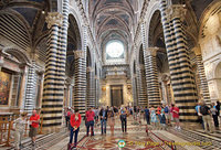 Siena Cattedrale nave