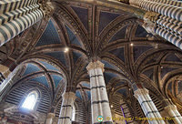 Siena Cattedrale vault