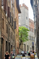 Exploring the streets of Siena