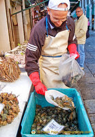 Masanette - these little crabs are seasonal Venetian specialties