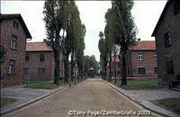 Auschwitz camp blocks and buildings
