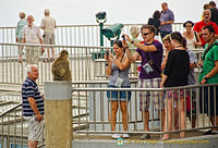The Barbary ape - a Gibraltar tourist attraction