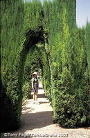 Generalife gardens