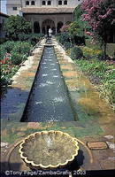 The Patio de la Acequia is an enclosed oriental garden built round a long central pool   