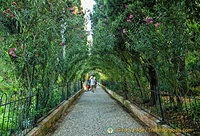 Promenade of the Orleanders: As the name suggests, this long path is lined with oleander.