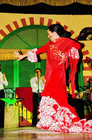 A solo flamenco dance routine