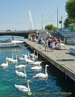Geneva and Lac Leman