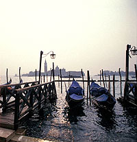 Gondolas at the Piazetta, Venice