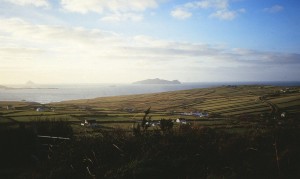 img_0020