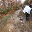A wet path_featured Sometimes - even plastic - when it rains!