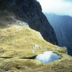 WH Milford Hogh above the MacKinnon Pass on the Milford Track