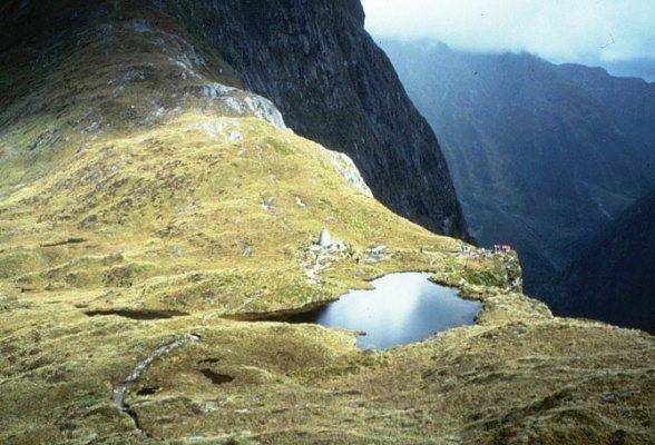 Milford Track – Classic Walks