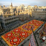 Brussels-Flower-Carpet_588