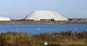 Salt production