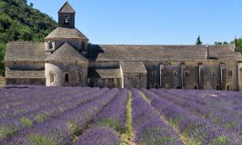 Abbaye de Sénanque