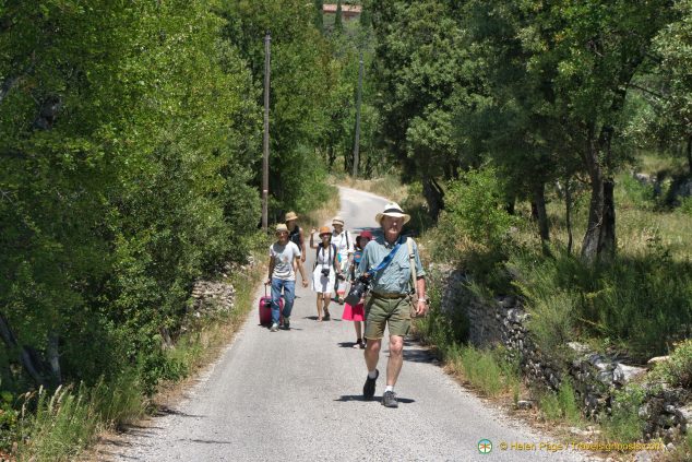 A Walk in the Luberon countryside