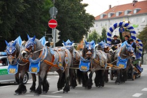 Hofbrauhaus Dray