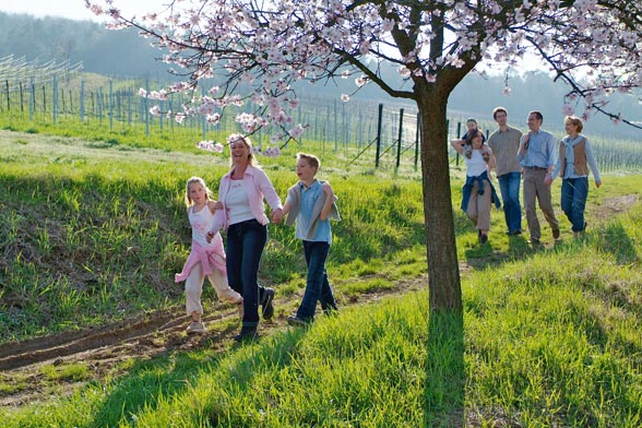 Wine Walking Weekend