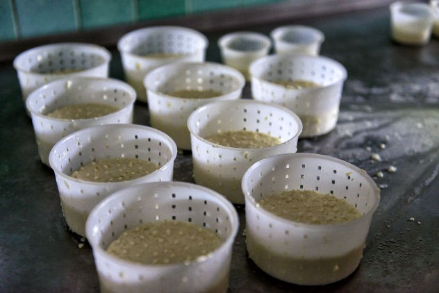 Initial stage of making the Giunca cheese